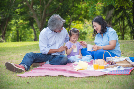 Asian Grandparents spend time in holiday with granddaughter by picnic at park.