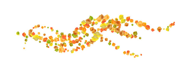 Autumn Flying Leaves