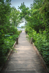 Fototapeta premium Wooden Bridge