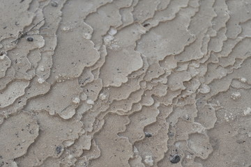 New Zealand. Zone of geothermal activity in the vicinity of Rotorua.