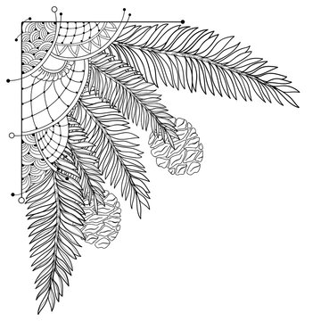 Vector corner branch of outline Sequoia or California redwood isolated on white background. Bunch of coniferous tree with pine and cones in contour style for floral design and coloring book.