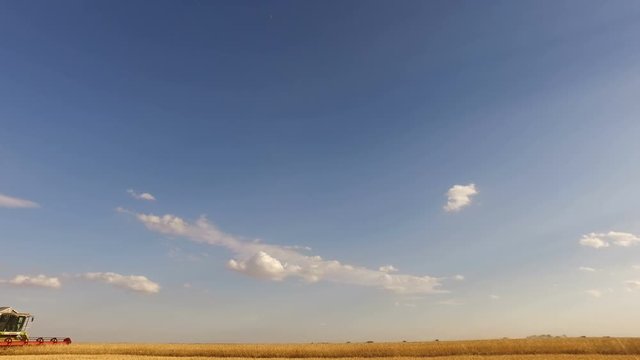 Kazakhstan, August 2018. A close-up of a combine harvester on a field passing from left to right. Harvesting of wheat. Copy space against the sky.