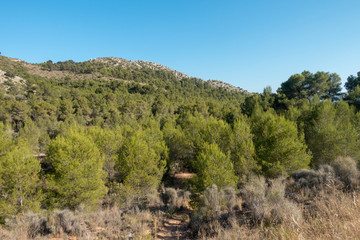 Trails of the desert of the palms in Castellon