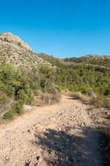 Trails of the desert of the palms in Castellon