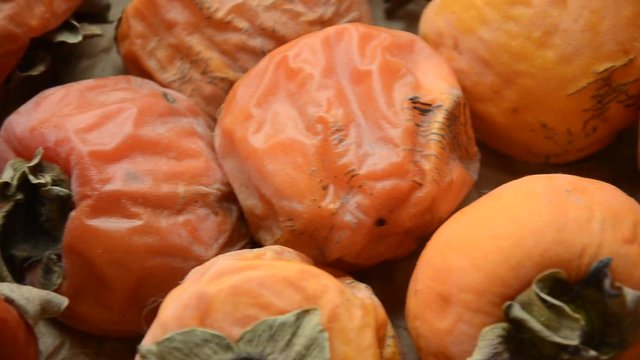 Silvana Comugnero Diospyros kaki Cachi Persimmon Hurma wschodnia Խուրմա արևելյան video Caqui movie Хурма восточная カキノキ 