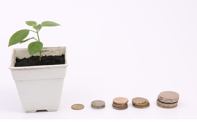 Trees and coins against a white backdrop.