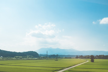 Obraz na płótnie Canvas 日本の田舎風景