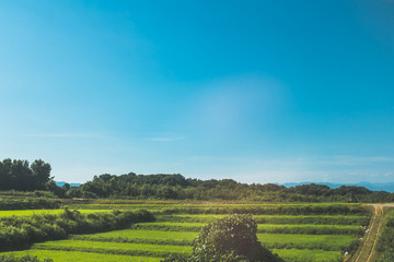 日本の田舎風景