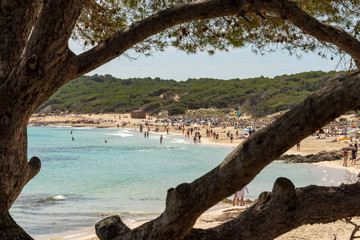 Fototapeta na wymiar View through the branches of a tree to the beach and the Mediterranean Sea with visitors from Cala Agulla with a wooden hut on the Spanish holiday island Mallorca