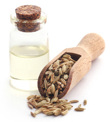 Fennel seeds with essential oil