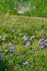 The Caucasus mountains in Russia