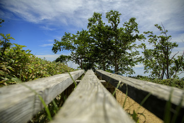 Fototapeta premium 北アルプス 燕岳 大天井岳 槍ヶ岳 表銀座縦走 39