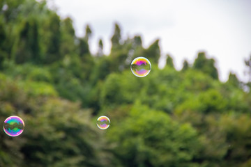 Three soap bubbles fly over the park