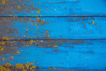 Fototapeta na wymiar Blue horizontal background of old wood boards and moss