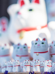 Obraz premium 招き猫