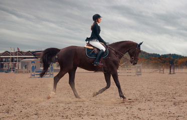Equestrian sport
