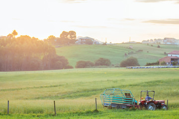 Farmer driving his tractor in a green field at sunset.