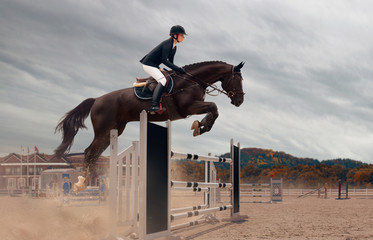 Equestrian sport