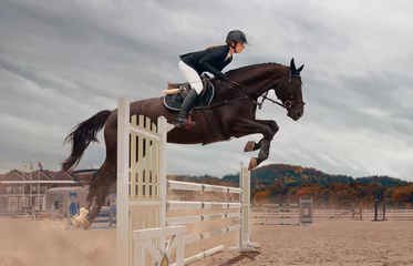 Fotobehang Equestrian sport © VIAR PRO studio