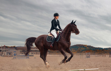 Equestrian sport