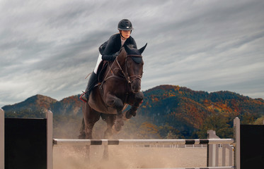 Equestrian sport