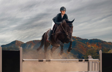 Equestrian sport