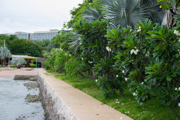 Bright scenic morning view of the boardwalk at Pattaya Beach in Thailand.
