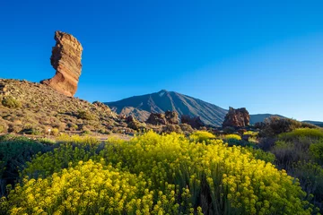 Foto op Canvas View of unique Roques de Garcia unique rock formation with famous Pico del Teide mountain volcano summit in the background on a sunny morning. Teide National Park, Tenerife, Canary Islands, Spain. © cegli