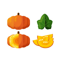 Set pumpkin illustration with grain shadow style for autumn season