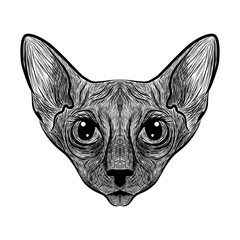 Sphinx. The cat is spotty. Striped. Black and white sketch. Vector graphics. Prints for clothes, T-shirts.