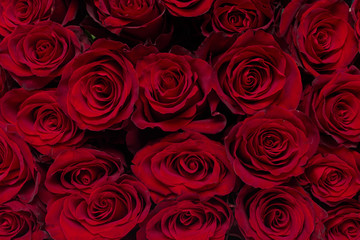 Bouquet of flowers: fresh red roses