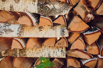 Chopped birch firewood in the woodpile in summer
