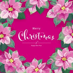 Poinsettia flowers in pink and green color frame on purple background. Vector set of Christmas elements for holiday invitations, greeting card and advertising design.