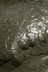 Cracked mud flats in the sun