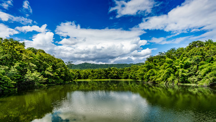 Green lake with green tropical forest and white cloud on blue sky background