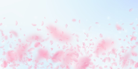 Sakura petals falling down. Romantic pink flowers falling rain. Flying petals on blue sky wide backg