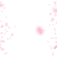 Sakura petals falling down. Romantic pink flowers borders. Flying petals on white square background.