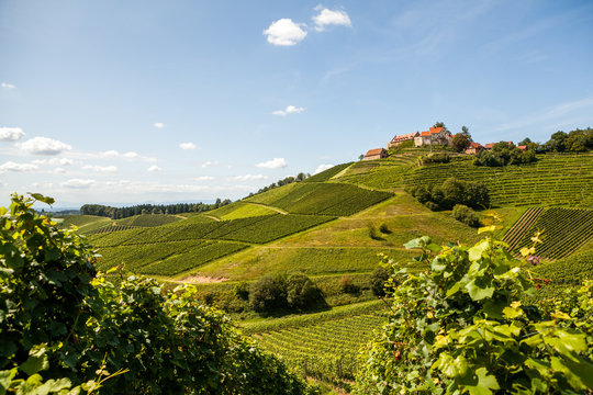 Landscape view with German Castle in small village named Staufenberg surrounded with vineyards   