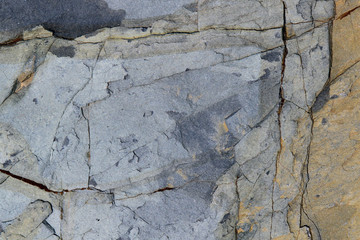 Fototapeta premium Grey sea cliff stone surface texture with cracks. Sea limestone.
