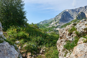 The Caucasus mountains in Russia