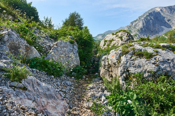 The Caucasus mountains in Russia