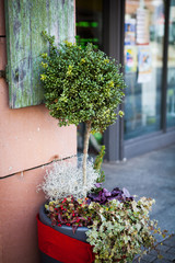 Beautiful flower shop in Southern Germany with decorative elements on the street