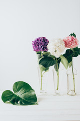 pink, purple and white hydrangea flowers in glass vases with monstera leaf near, on white