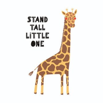 Hand Drawn Vector Illustration Of A Cute Funny Giraffe, With Lettering Quote Stand Tall Little One. Isolated Objects On White Background. Scandinavian Style Flat Design. Concept For Children Print.