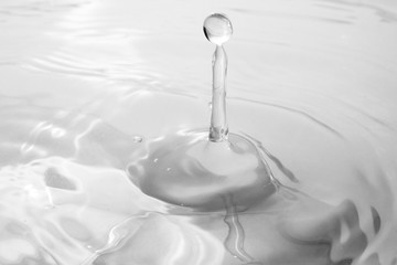 Wassertropfen Schwarzweiß