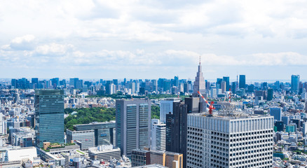 都庁から眺める東京都心部の町並み