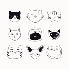 Ensemble de mignons griffonnages noirs et blancs drôles de différents visages de chats. Objets isolés. Illustration vectorielle dessinée à la main. Dessin au trait. Concept de design pour affiche, t-shirt, impression de mode.