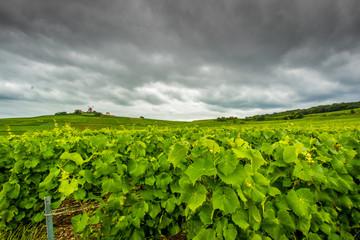 Champagne region