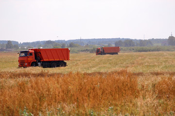 Fototapeta premium The harvesting combine in the hot summer field 