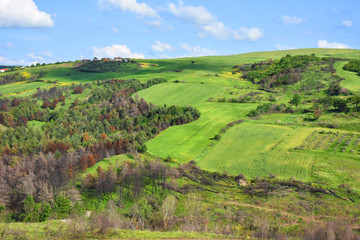 Italy, Puglia region, typical hilly landscape in spring